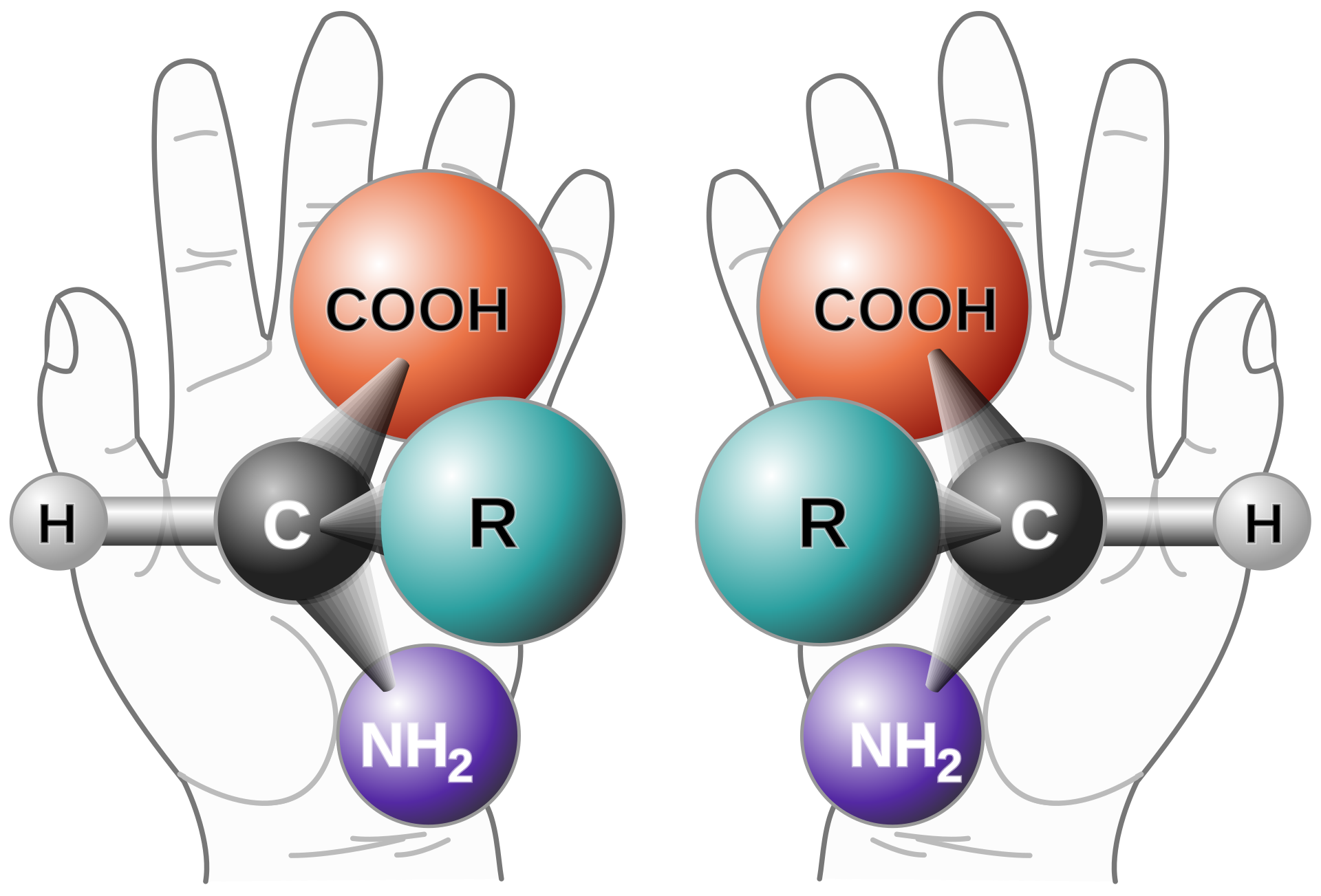 Chiral molecules