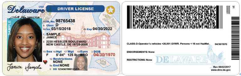 Drivers license front and back